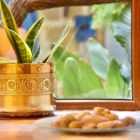 בית נופש Charming House In Ix - With Terrace And Barbecue *